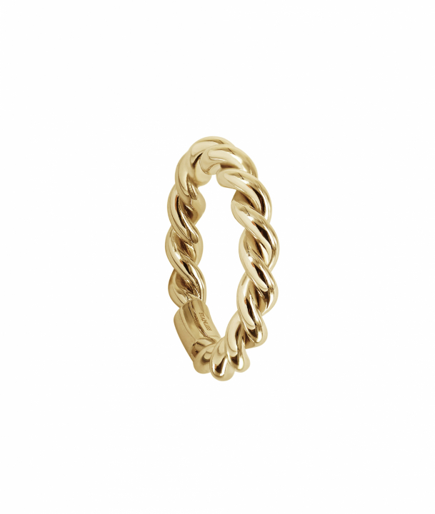 TERRY Ring Guld i gruppen Ringe / Guldringe hos SCANDINAVIAN JEWELRY DESIGN (368404R)