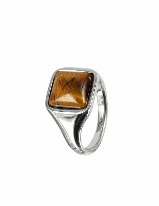 NEO Ring Stål/Brun i gruppen Ringe / Sølvringe hos SCANDINAVIAN JEWELRY DESIGN (368787R)