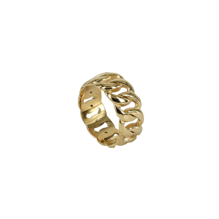 ASTRID Guld ring i gruppen Ringe hos SCANDINAVIAN JEWELRY DESIGN (370780V)