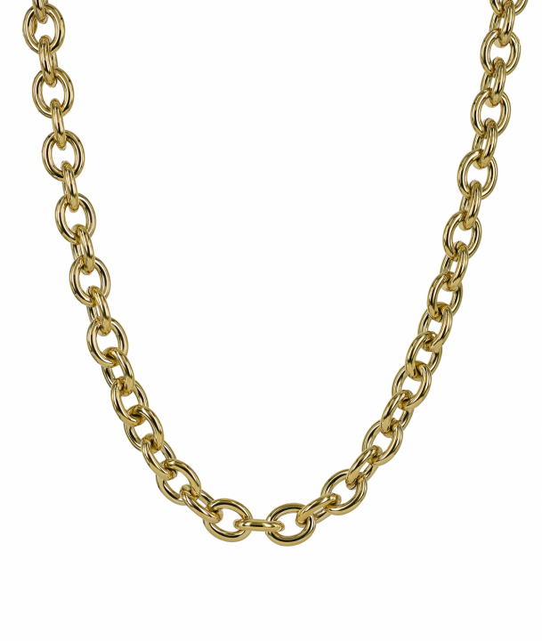 RUBY Halskæde Guld i gruppen Halskæde hos SCANDINAVIAN JEWELRY DESIGN (371831)