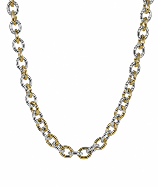 RUBY Halskæde Stål/Guld i gruppen Halskæde hos SCANDINAVIAN JEWELRY DESIGN (372067)