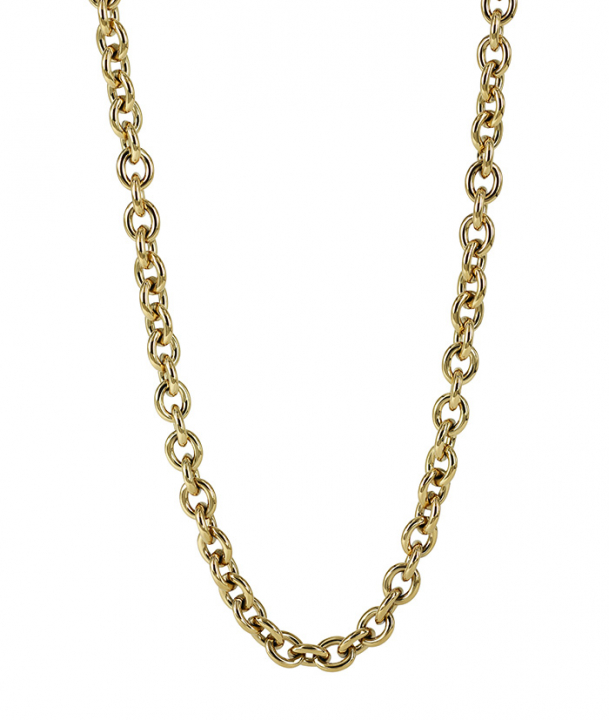 RUBY Small Halskæde Guld i gruppen Halskæde / Guldhalskæde hos SCANDINAVIAN JEWELRY DESIGN (372999)