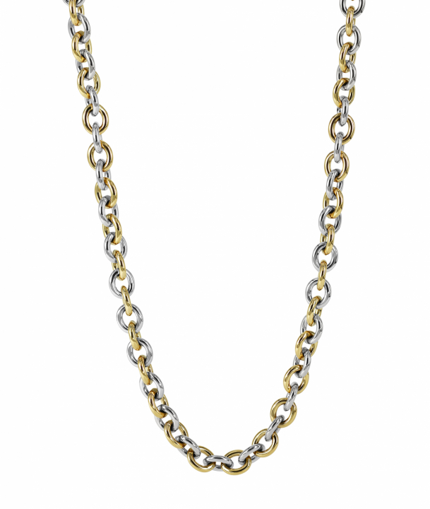 RUBY Small Long Halskæde Stål/Guld i gruppen Halskæde / Guldhalskæde hos SCANDINAVIAN JEWELRY DESIGN (373040)