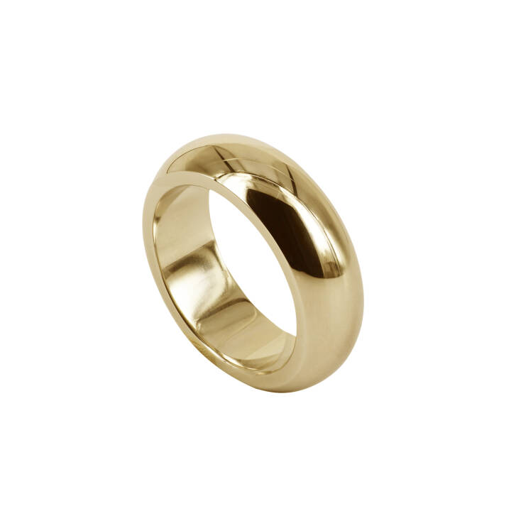SIA Guld ring i gruppen Ringe hos SCANDINAVIAN JEWELRY DESIGN (400722V)