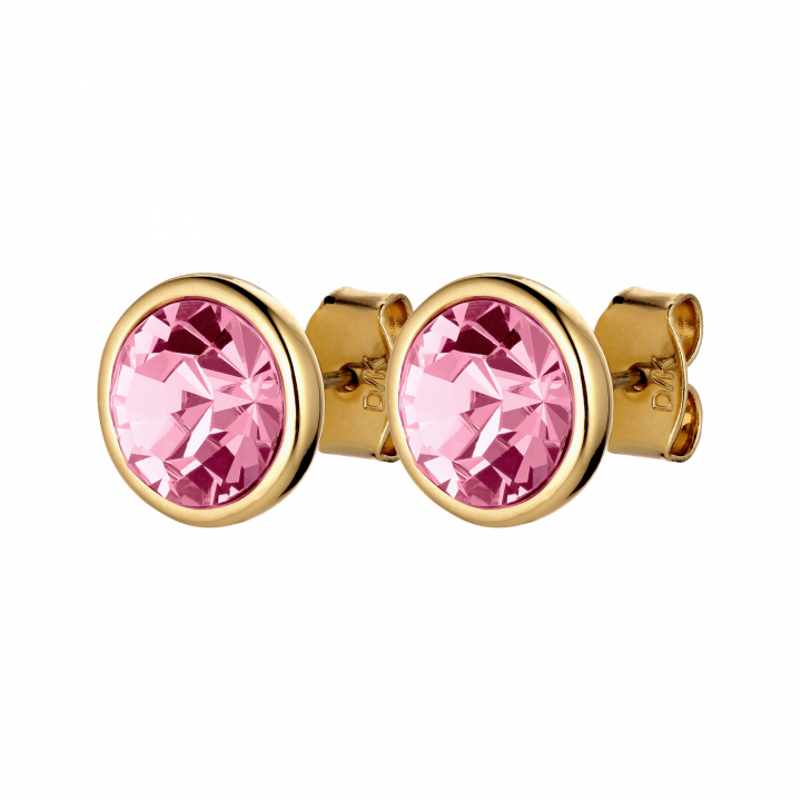DIA Ørering i gruppen Øreringe / Guldøreringe hos SCANDINAVIAN JEWELRY DESIGN (420000)