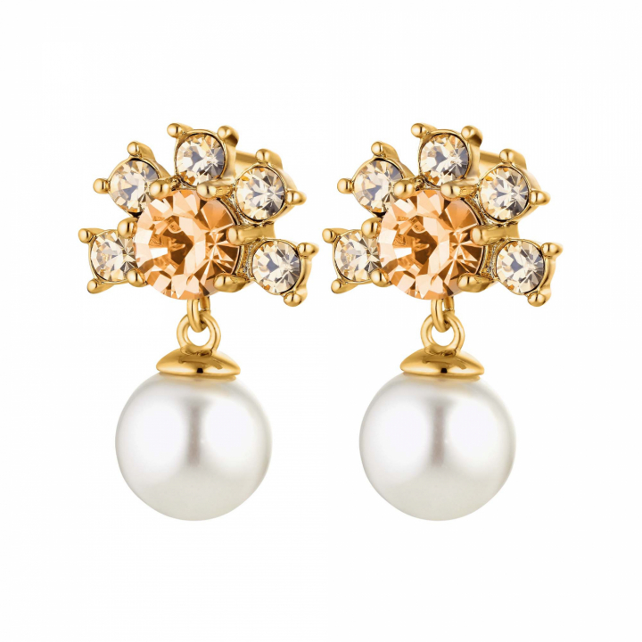 Product Image for DYRBERG/KERN VERONICA PEACH Guld