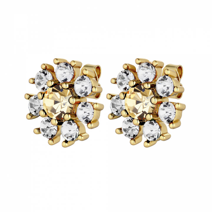 AUDE Guld GOLDEN / CRYSTAL Ørering i gruppen Øreringe hos SCANDINAVIAN JEWELRY DESIGN (430070)