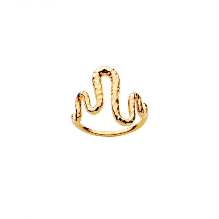 Viva Ring Guld i gruppen  hos SCANDINAVIAN JEWELRY DESIGN (4315A)