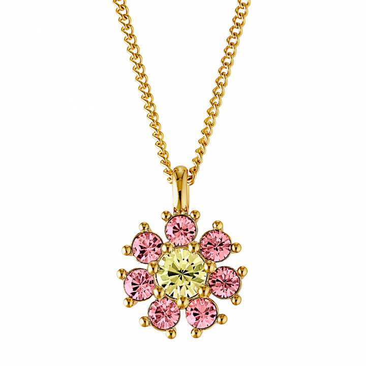 DELISE Guld YELLOW/ROSE i gruppen Halskæde / Guldhalskæde hos SCANDINAVIAN JEWELRY DESIGN (440034)