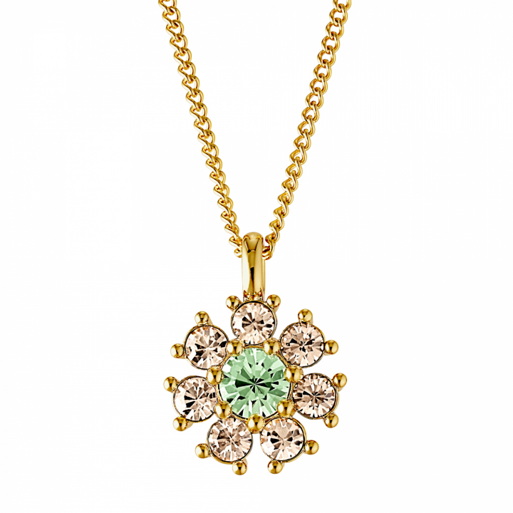 DELISE Guld L.GREEN/GOLDEN i gruppen Halskæde / Guldhalskæde hos SCANDINAVIAN JEWELRY DESIGN (440035)