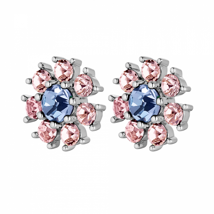 AUDE Sølv L.BLUE/ROSE i gruppen Øreringe / Sølvøreringe hos SCANDINAVIAN JEWELRY DESIGN (440038)