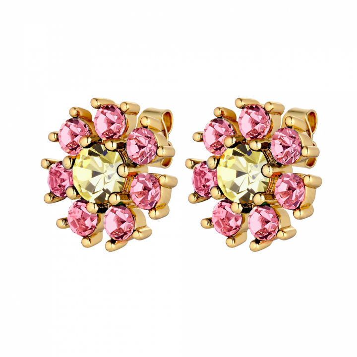 AUDE Guld YELLOW/ROSE i gruppen Øreringe / Guldøreringe hos SCANDINAVIAN JEWELRY DESIGN (440040)