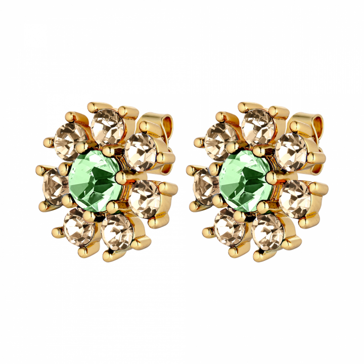 AUDE Guld L.GREEN/GOLDEN i gruppen Øreringe / Guldøreringe hos SCANDINAVIAN JEWELRY DESIGN (440041)