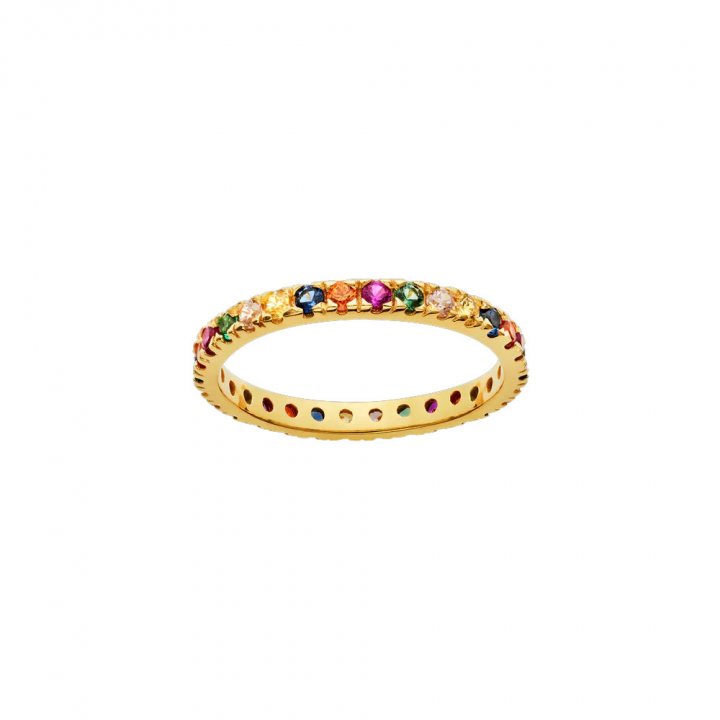 Pari Ring Guld i gruppen Ringe / Guldringe hos SCANDINAVIAN JEWELRY DESIGN (4401A)