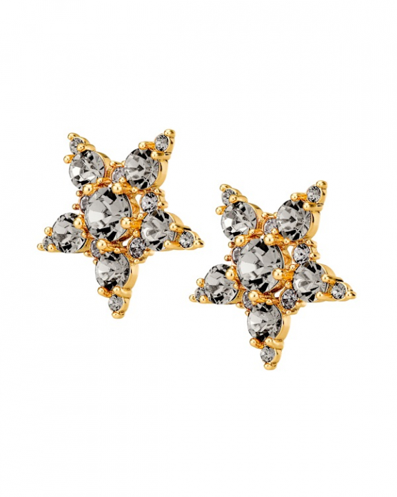 GEMINI SG GREY Earrings Gold i gruppen Øreringe / Guldøreringe hos SCANDINAVIAN JEWELRY DESIGN (450009)