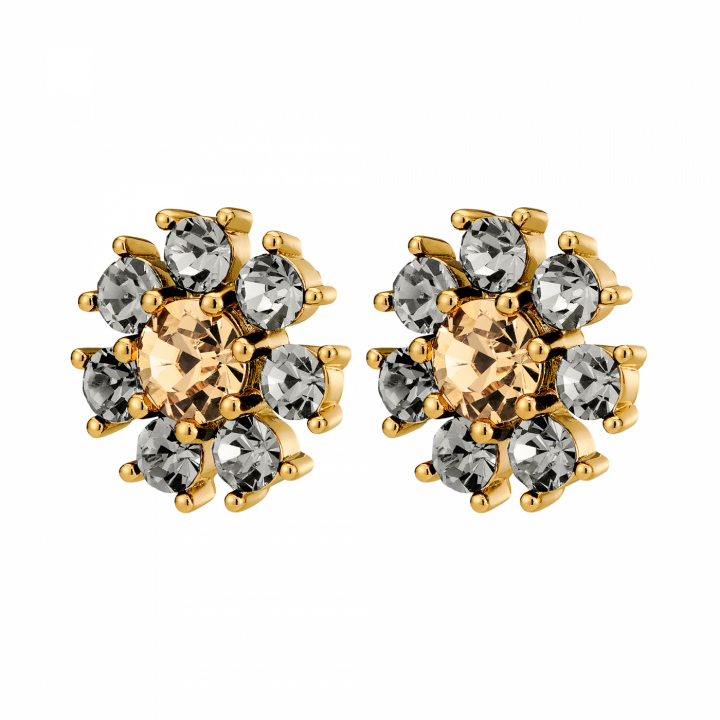 AUDE SG GREY /GOLDEN Earrings Gold i gruppen Øreringe / Guldøreringe hos SCANDINAVIAN JEWELRY DESIGN (450097)