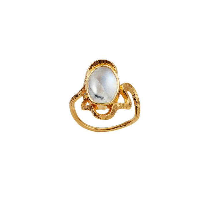 Siren Ring Guld i gruppen Ringe / Guldringe hos SCANDINAVIAN JEWELRY DESIGN (4731A)