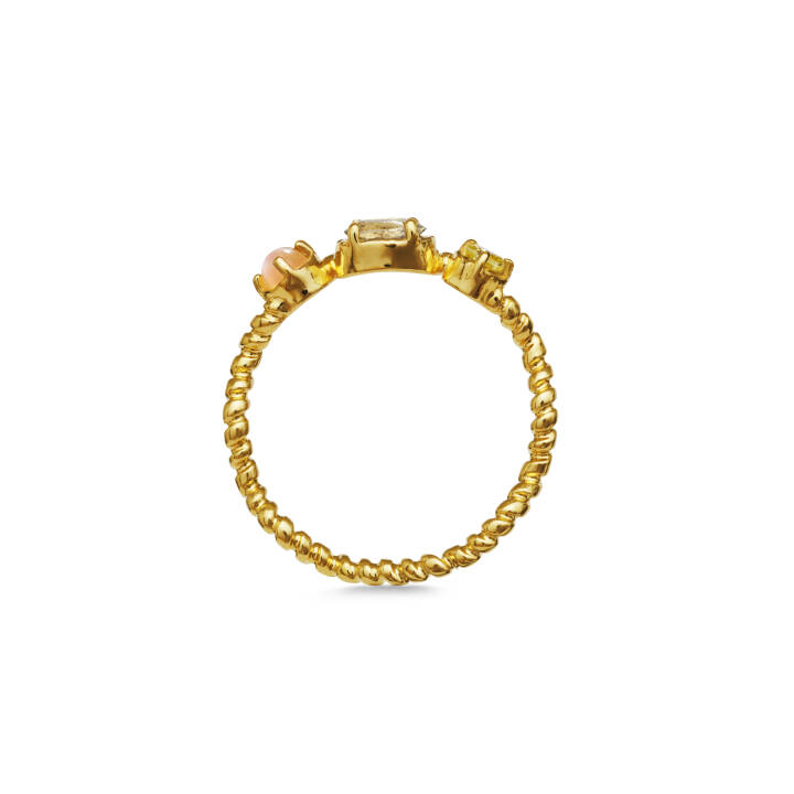 Solange Ring Guld i gruppen Ringe hos SCANDINAVIAN JEWELRY DESIGN (4735A)