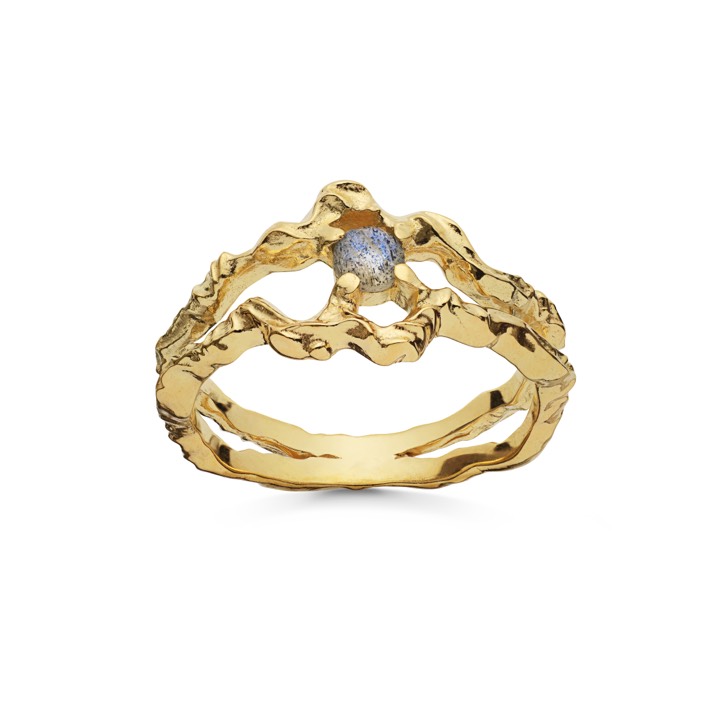 Shelly ring (guld) i gruppen Ringe hos SCANDINAVIAN JEWELRY DESIGN (4738a)