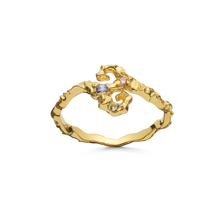 Tenti Ring Guld i gruppen Ringe hos SCANDINAVIAN JEWELRY DESIGN (4739A)