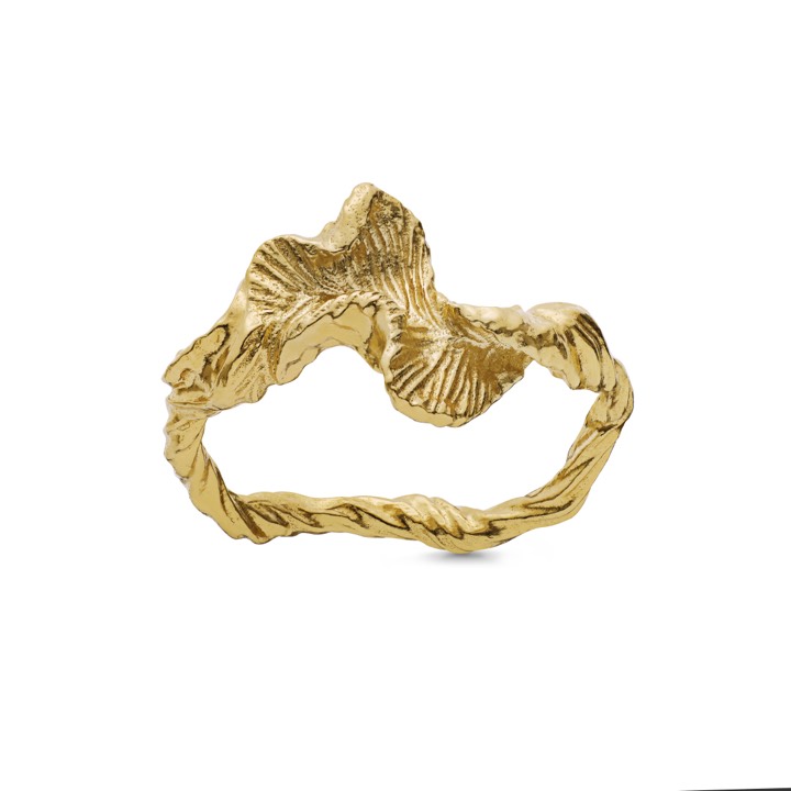 Nino ring (guld) i gruppen Ringe / Guldringe hos SCANDINAVIAN JEWELRY DESIGN (4756a)
