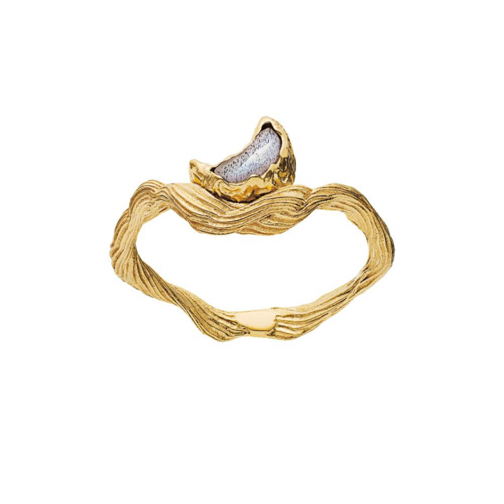 Cordelia Ring (Gold) i gruppen Ringe / Guldringe hos SCANDINAVIAN JEWELRY DESIGN (4773a)