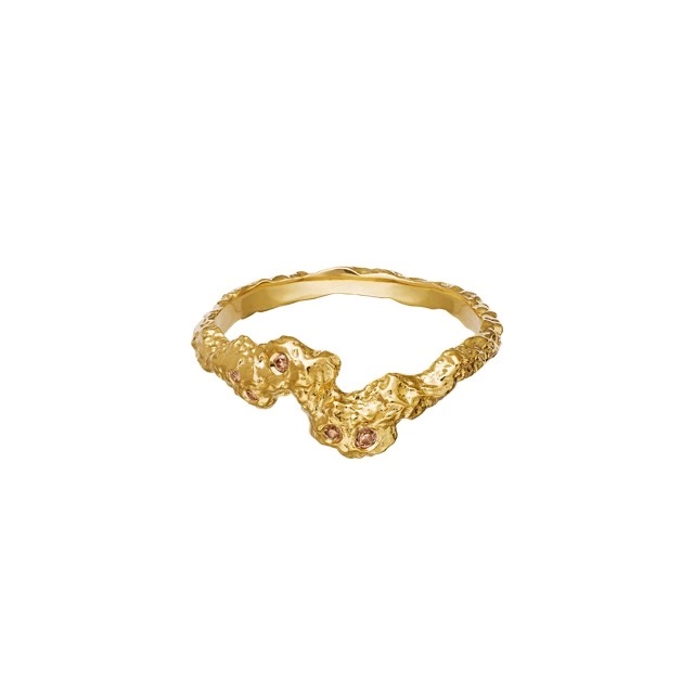 Frida Ring Gold 51 i gruppen Ringe / Guldringe hos SCANDINAVIAN JEWELRY DESIGN (4775a-51)