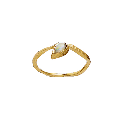 Cille Ring Guld i gruppen Ringe / Guldringe hos SCANDINAVIAN JEWELRY DESIGN (4782a)