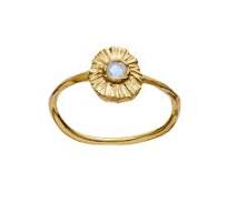 Elin Ring Gold 49 i gruppen Ringe / Guldringe hos SCANDINAVIAN JEWELRY DESIGN (4790a49)