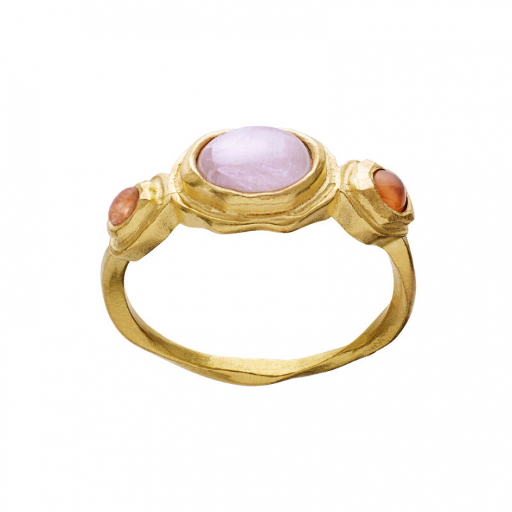 Product Image for Maanesten Nemo ring guld 47