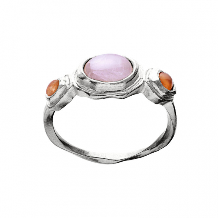 Nemo ring Sølv i gruppen Ringe / Sølvringe hos SCANDINAVIAN JEWELRY DESIGN (4793c)