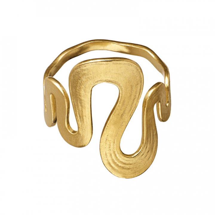 Sasja ring guld i gruppen Ringe / Guldringe hos SCANDINAVIAN JEWELRY DESIGN (4796a)