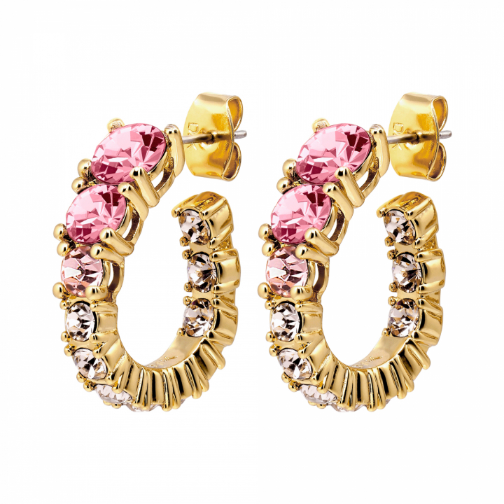 KOLOS SG ROSE Earrings Gold i gruppen Øreringe / Guldøreringe hos SCANDINAVIAN JEWELRY DESIGN (480025)