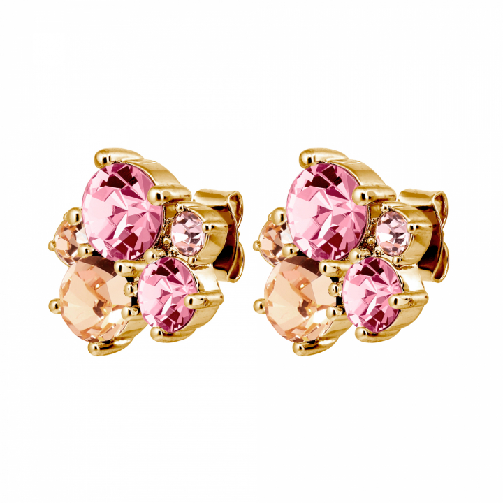 MINNIE SG ROSE Earrings Gold i gruppen Øreringe / Guldøreringe hos SCANDINAVIAN JEWELRY DESIGN (480162)