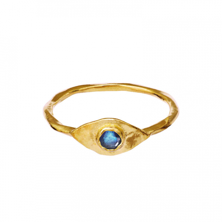 Product Image for Maanesten Argos Ring Guld 55