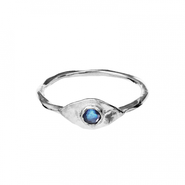 Product Image for Maanesten Argos Ring Sølv 53