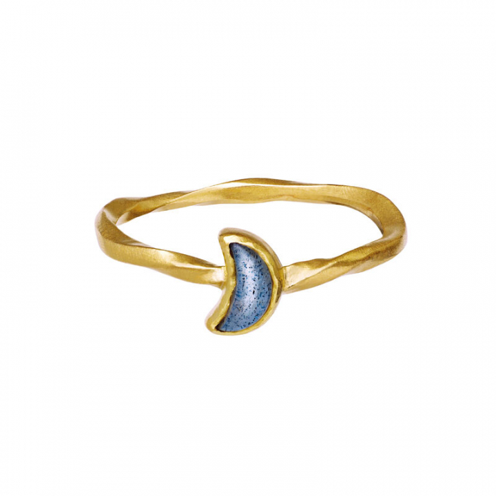 Product Image for Maanesten Doris Ring Guld 53