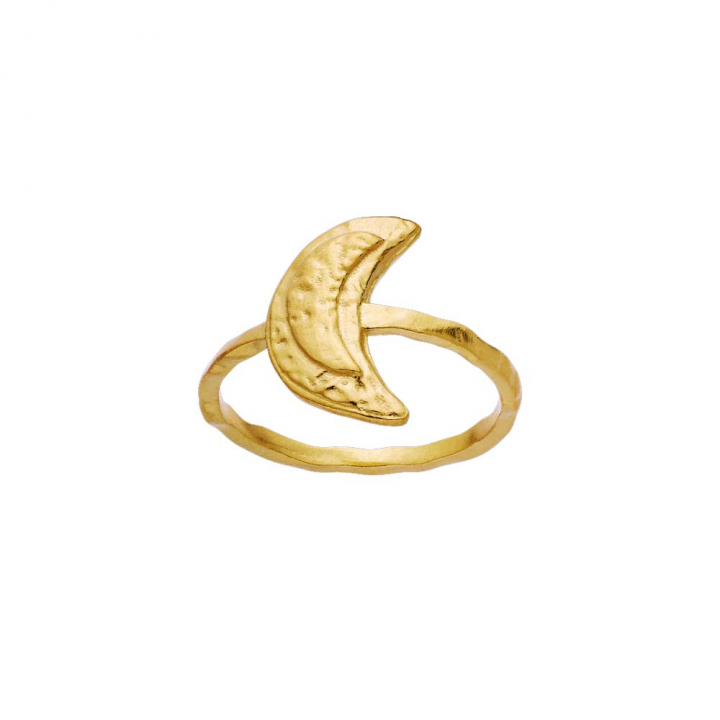 Jacinta Ring Guld i gruppen Ringe / Guldringe hos SCANDINAVIAN JEWELRY DESIGN (4811A)