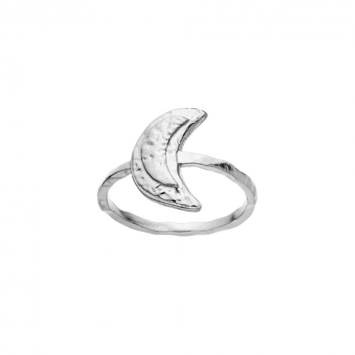 Jacinta Ring Sølv i gruppen Ringe / Sølvringe hos SCANDINAVIAN JEWELRY DESIGN (4811C)