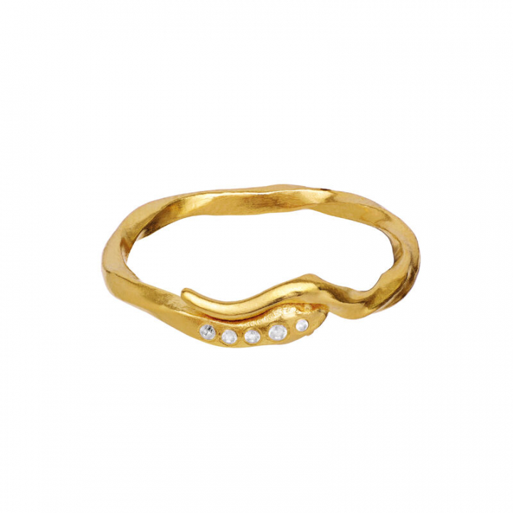 Hera Ring Guld i gruppen Ringe / Guldringe hos SCANDINAVIAN JEWELRY DESIGN (4814A)