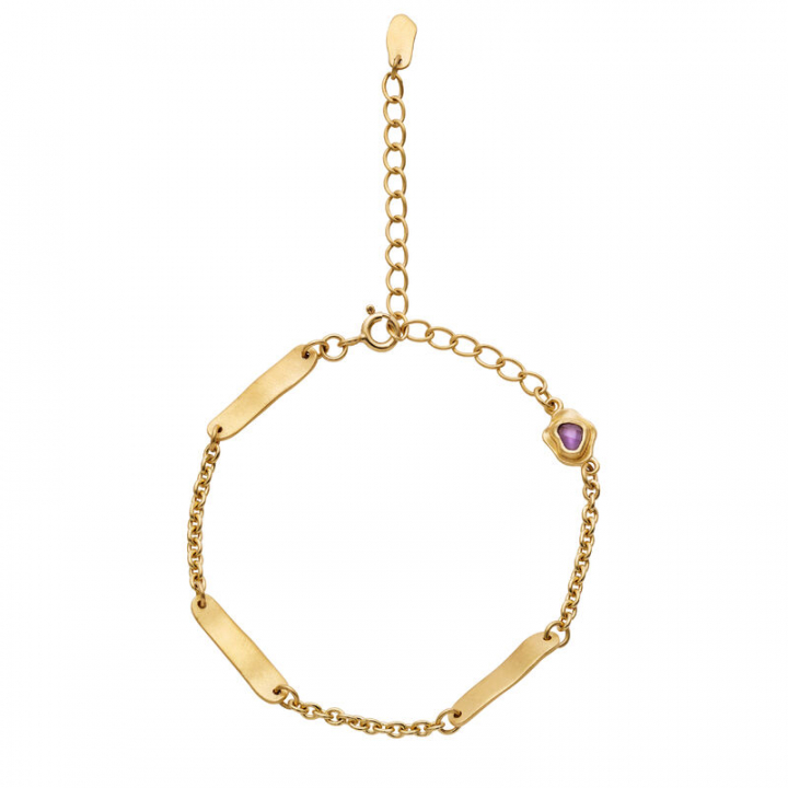 Dedee Armbånd Guld i gruppen Armbånd / Guldarmbånd hos SCANDINAVIAN JEWELRY DESIGN (8597a)