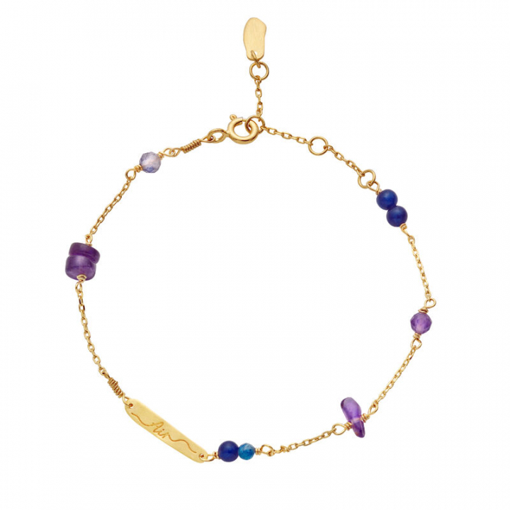 Product Image for Maanesten Levita Element Armbånd Guld