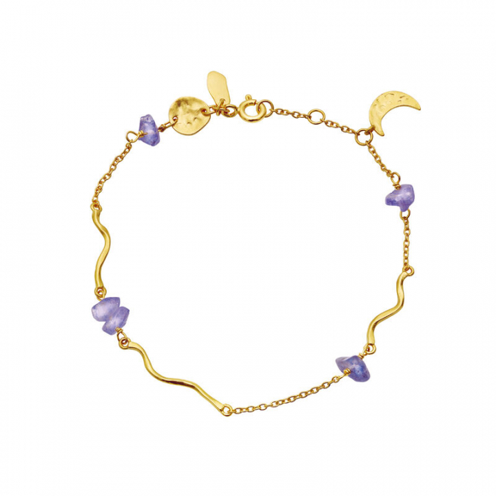 Lillith Armbånd Guld i gruppen Armbånd / Guldarmbånd hos SCANDINAVIAN JEWELRY DESIGN (8614A)