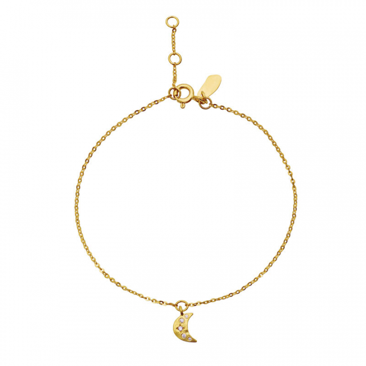 Celestia Armbånd Guld i gruppen Armbånd / Guldarmbånd hos SCANDINAVIAN JEWELRY DESIGN (8618A)