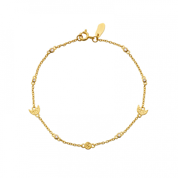 Cecilia Armbånd Guld i gruppen Armbånd / Guldarmbånd hos SCANDINAVIAN JEWELRY DESIGN (8619A)