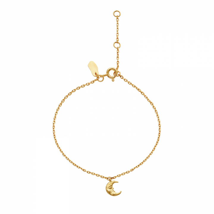 Laura Bracelet Gold i gruppen Armbånd / Guldarmbånd hos SCANDINAVIAN JEWELRY DESIGN (8689A)