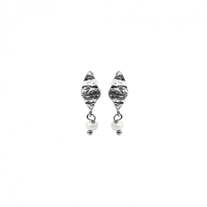 Lucca Earsticks Sølv i gruppen Øreringe / Sølvøreringe hos SCANDINAVIAN JEWELRY DESIGN (9531C)