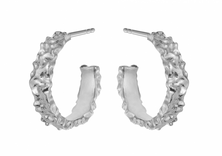 Aio Medium Ørering Sølv i gruppen Øreringe / Sølvøreringe hos SCANDINAVIAN JEWELRY DESIGN (9566C)