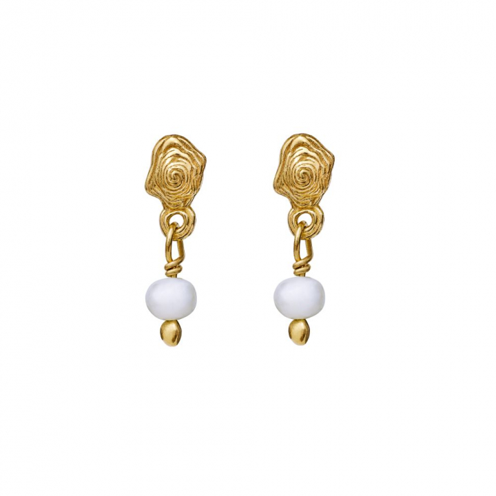 Pippa Ørering Guld i gruppen Øreringe / Perleøreringe hos SCANDINAVIAN JEWELRY DESIGN (9753A)