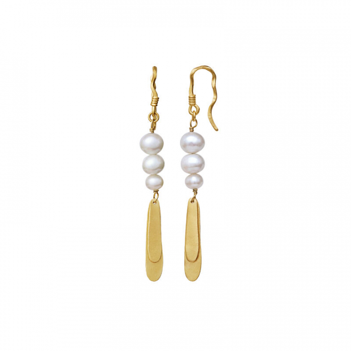 Smilla Ørering Guld i gruppen Øreringe / Perleøreringe hos SCANDINAVIAN JEWELRY DESIGN (9808a)